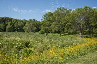 Enjoy a relaxing walk around the MN Arboretum any time of the year