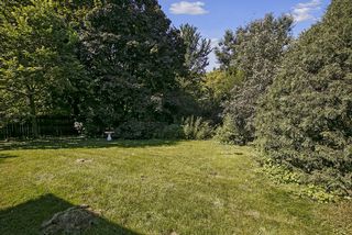 Wonderful, private, fenced back yard with gate opening to Veteran's Park for easy access to the trails...