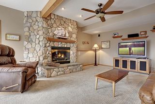 Huge Lower Level Family Room has Gas Stone Fireplace!