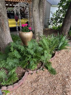 Photo Provided by Agent