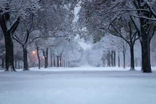 Photo Provided by Agent