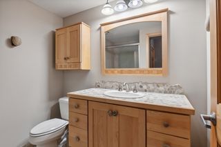 Lower level Bathroom