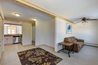 All new tile floors. 