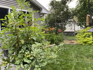 Photo Provided by Seller