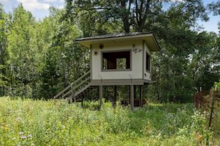 Custom built tree house