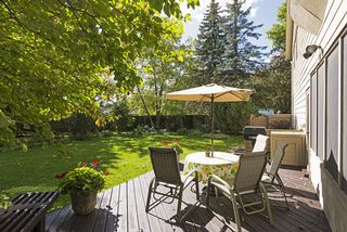 Summer will come sooner then we think!