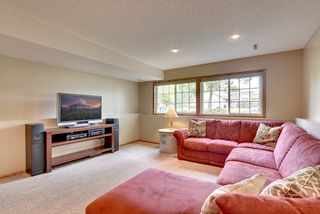 Daylight windows and canned lighting add to the mood.