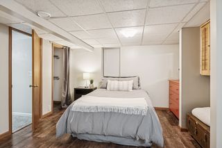 21. Lowe level bedroom