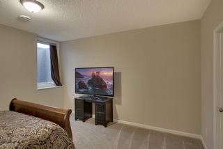 Lower level bedroom #5