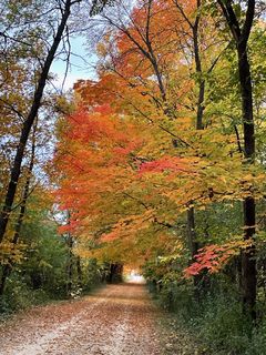 Photography provided by agent.