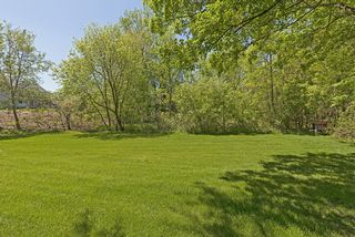 Large oversized lot.