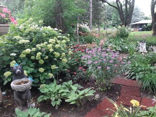 Photo Provided by Seller