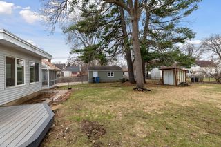 Back yard