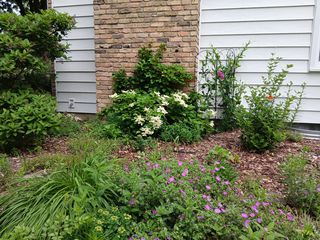 Photo Provided by Agent