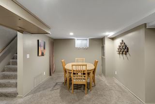 Finished basement with raised ceilings