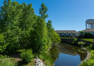 View of Creek Area.