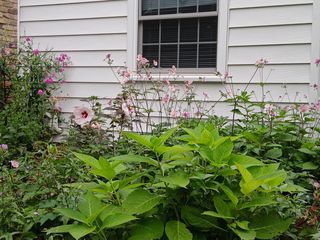 Photo Provided by Agent