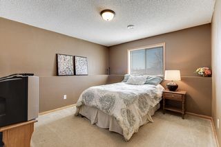 Downstairs bedroom