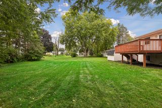 Expansive backyard with plenty of open green space