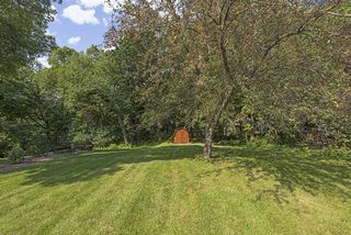 Another view of the back yard