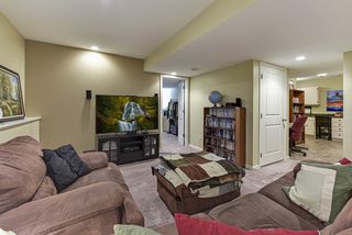Lower level living room