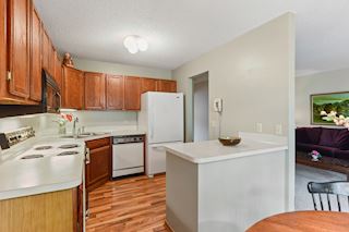 Open kitchen with great counter space for serving.