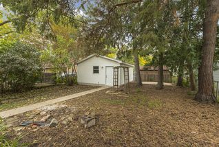 Your own private North Woods backyard! Ready for your landscaping ideas.