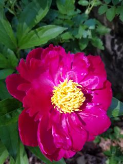 Photo Provided by Agent