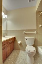 Main full bath - new quartz counter tops and lighting.