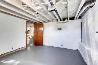 Basement Flex room