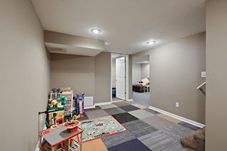Lower level rec room