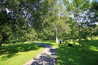 5024 Park Avenue - Lots of walking trails along the Creek just out the front door