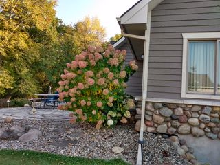 Photo provided by seller 