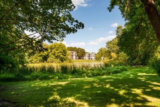 Pond views
