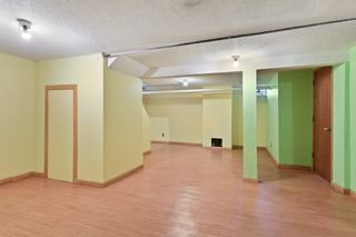 Basement Family room