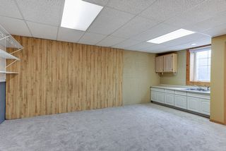Lower level 4th bedroom