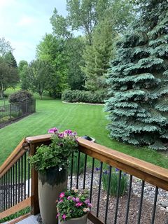 Photo Provided by seller