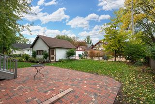 Gorgeous, extra-large yard 