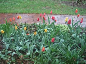 Photo provided by seller.