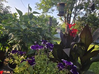 Photo Provided by Seller