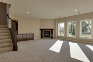 Lower level Family Room
