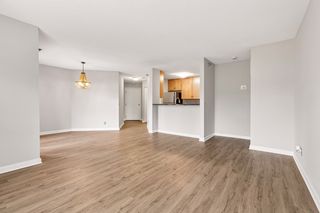Next to the kitchen is a large closet .