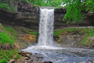 Natural beauty out your back door.