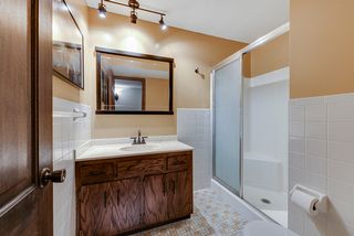 Lower level bathroom