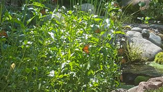 Photo provided by seller.