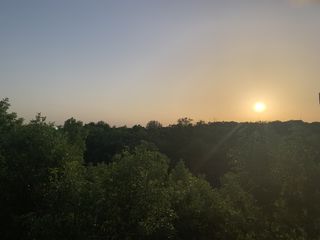 Photo provided by seller