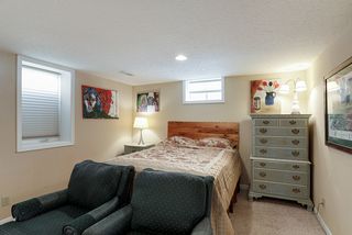 Lower level bedroom 3