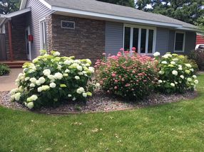 Photo provided by seller.