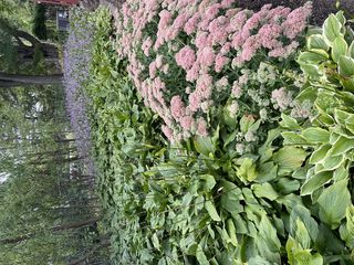 Photography provided by agent.