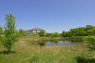The green of summer - soon to be seen...